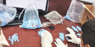 Aseguraron 15 armas de fuego y seis mil pastillas de fentanilo en esta semana