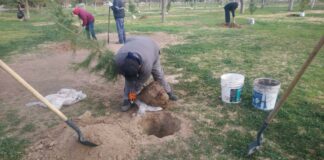 Trabaja Parques y Jardines en diferentes proyectos en El Chamizal