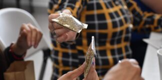 Imparte IMM taller de herbolaria ralámuli