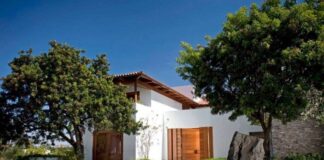 Cárteles cobran nuevo “impuesto” por árbol para taparse del sol en Tamaulipas