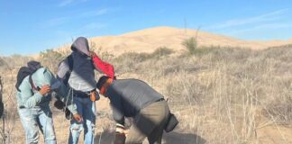 Rescatan con vida a migrantes extraviados en dunas de Samalayuca