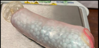 Le descubren fentanilo escondido en cavidad; perro la descubre