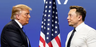 Trump podría contratar a Elon Musk como asesor político si gana elecciones