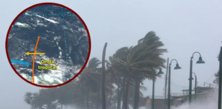 Primera onda tropical llega a México, en estos estados provocará fuertes lluvias