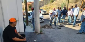 DESENTUERTOS: QUIEREN APLASTAR AL CABALLO LOZOYA