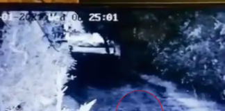 Captan supuesto duende corriendo en finca de Monterrey