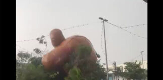 VIDEO: ¡Osote descontrolado! Se ‘escapa’ en Cuernavaca