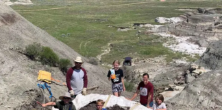 Tres niños descubren fósil de dinosaurio extremadamente raro