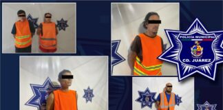 Desmantelados Cinco Casos de Violencia Doméstica