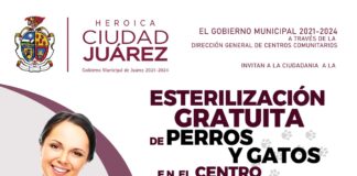 Esterilizará Gobierno Municipal a 5 mil perros y gatos