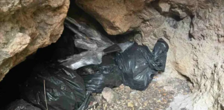 Guardia Nacional localiza armas en Parque Natural de Zacatecas