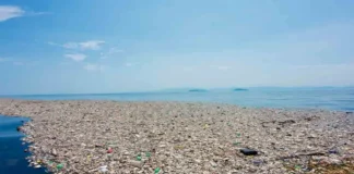 Así luce el colosal basurero que flota en el mar