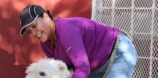 Esterilizan a más de 300 mascotas en Centro Comunitario del Kilómetro 20