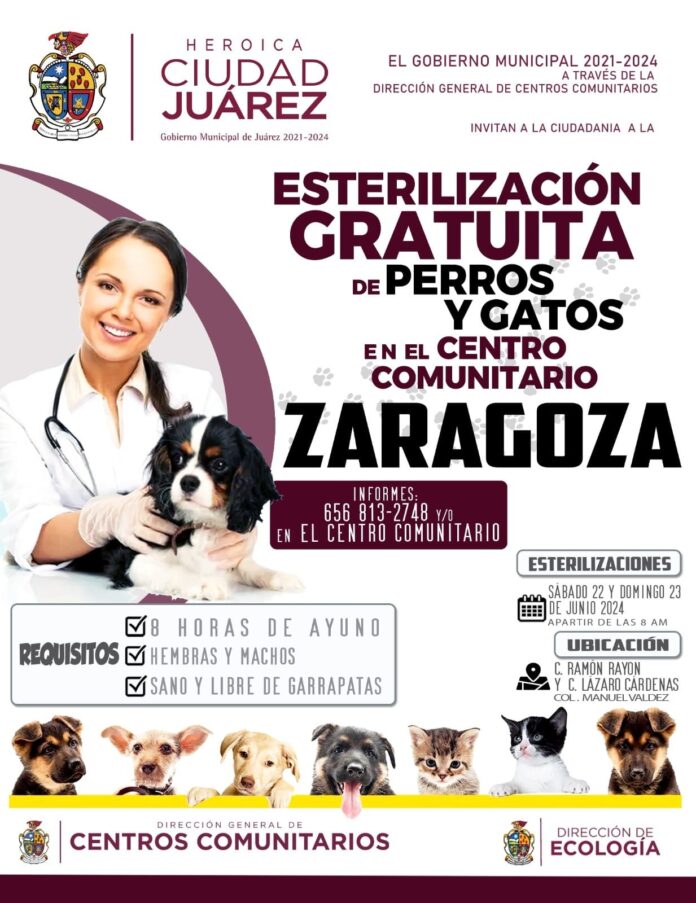 mascotasesterelización