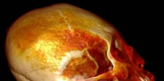 Análisis realizados a ‘momia alienígena’ revelan algo inquietante