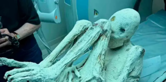 Alistan pruebas de ADN para supuestas momias alienígenas de Jaime Maussan