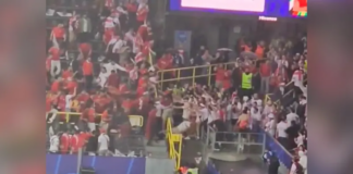 VÍDEO: Pelea entre aficionados en la Eurocopa 2024