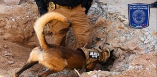 Hallan cuerpo enterrado en casa de la colonia División del Norte