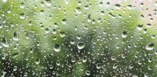 Baja probabilidad de lluvia para este martes