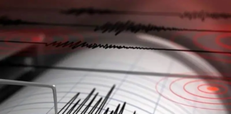 Terremoto de 7.3 sacude Chile. Videos