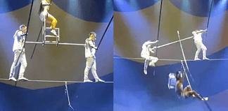 Acróbata sufre trágica caída en plena función; así ocurrió todo