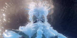 Así va México en el Medallero de los Juegos de París (6 de agosto)