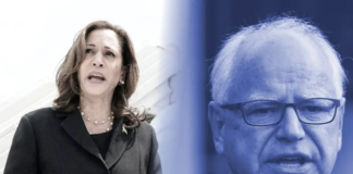 Kamala Harris elige a Tim Walz como su candidato vicepresidencial