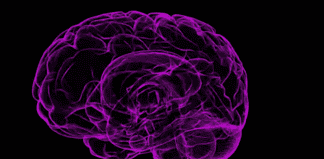 Alzheimer podría afectar a casi el 8 por ciento de los mexicanos