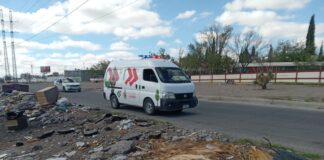 Investiga Ecología denuncia ciudadana por cadáveres de mascotas