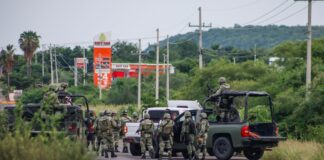 Suman 32 muertos en Sinaloa por guerra entre ‘Los Mayos’ y ‘Los Chapitos’