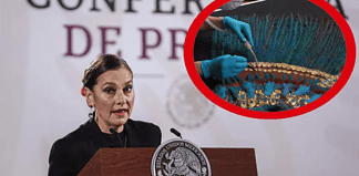 Beatriz Gutiérrez Müller asegura que algo esconde Austria sobre Penacho de Moctezuma