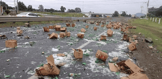 Tráiler tira medio cargamento de cerveza en carretera México-Tuxpan