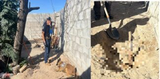 Buscaban a desaparecido y encuentran cuerpo en casa de Colinas de Juárez