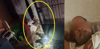 Hombre que intentó quemar a su familia es vinculado a proceso