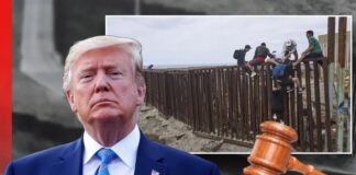 ¿Cuál es la ley que podría ser clave en la deportación masiva que planea Trump?