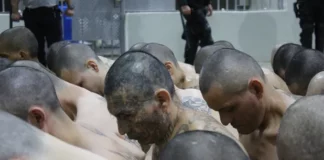 Régimen de Bukele presume 700 días sin ‘narcoasesinatos’