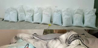 Anuncian aseguramiento de 1.5 toneladas de fentanilo en Sinaloa