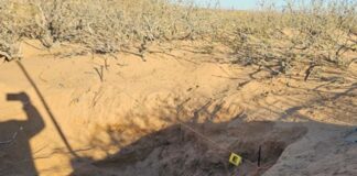 Encuentran 11 osamentas en fosas clandestinas en Ascensión