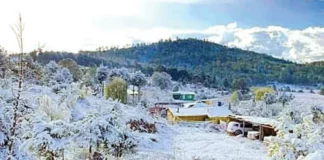 Frente frío escarcha zonas de Zacatecas… y llegó el invierno