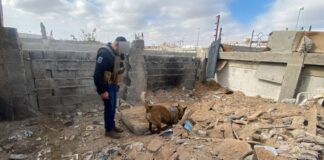 Localizan dos osamentas durante cateo en Urbi Villa del Cedro