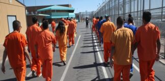 Busca Trump sacar de EU también a delincuentes norteamericanos