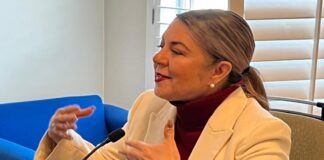 Urge Rosana Díaz al Gobierno del Estado prevenir y sancionar accidentes viales