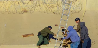 Investigan conexiones del ”narco túnel’