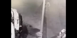 VIDEO: Delincuente intentaba incendiar un vehículo y termina inmolado