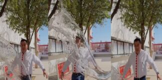 DESENTUERTOS: PRIISTAS Y EL COCO VOLADOR