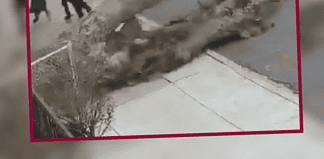 ¿Dios al rescate? Familia escapa por centímetros de ser aplastada por un árbol