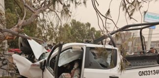 Se le suelta tiro a elemento de la Guardia Nacional y resultan tres agentes muertos