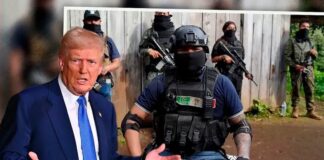 México le tiene mucho miedo a los cárteles de las drogas, asegura Trump