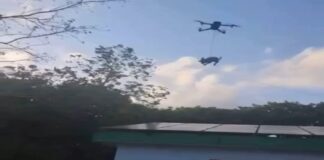 Así elevaron a perrito Chihuahua con dron