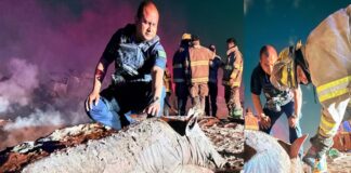 Policías Municipales salvan algunos puerquitos de granja incendiada